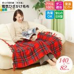 電気ひざ掛け 洗える デスク 一人用 9選【2026】
